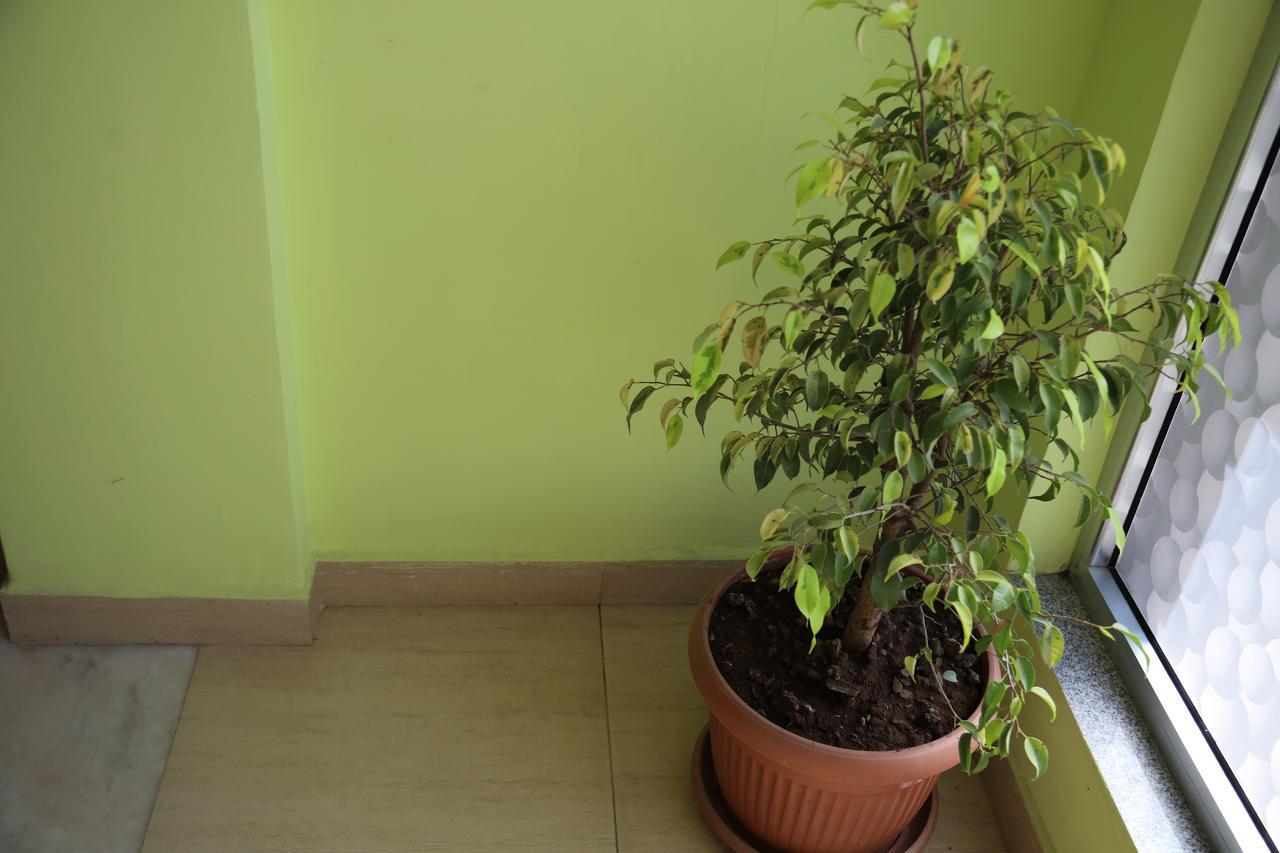 Vamos Guest House Addis Abeba Zewnętrze zdjęcie